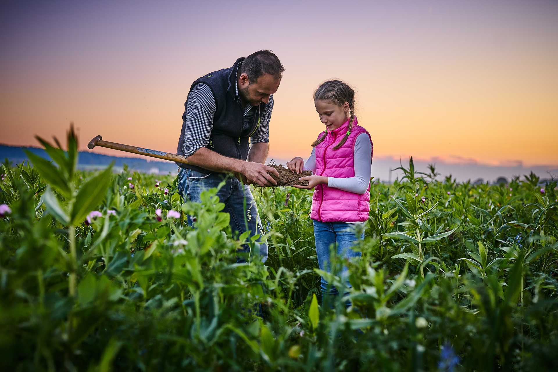 Ingenieurbüro für digitale Landwirtschaft