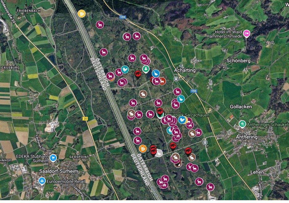 Revierkarte mit markierten Wild-Fundpunkten aus einer Wildzählung