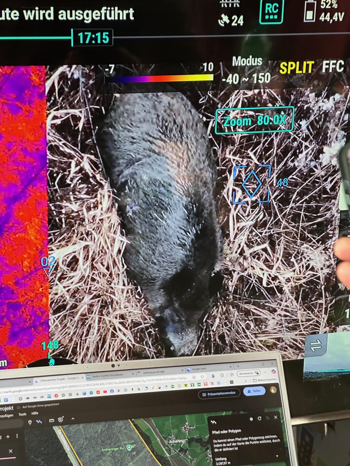 Schwarzwild auf einem Wärmebild-Monitor während einer Drohnenbefliegung