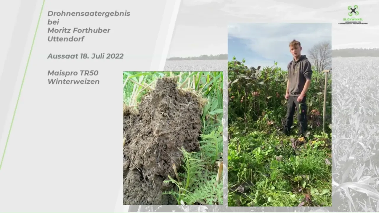 Landwirt zeigt seinen Zwischenfruchtbestand nach der Drohnensaat